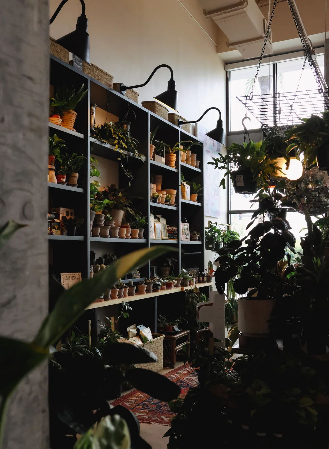 Plankenwand met kamerplanten in een lichte winkel