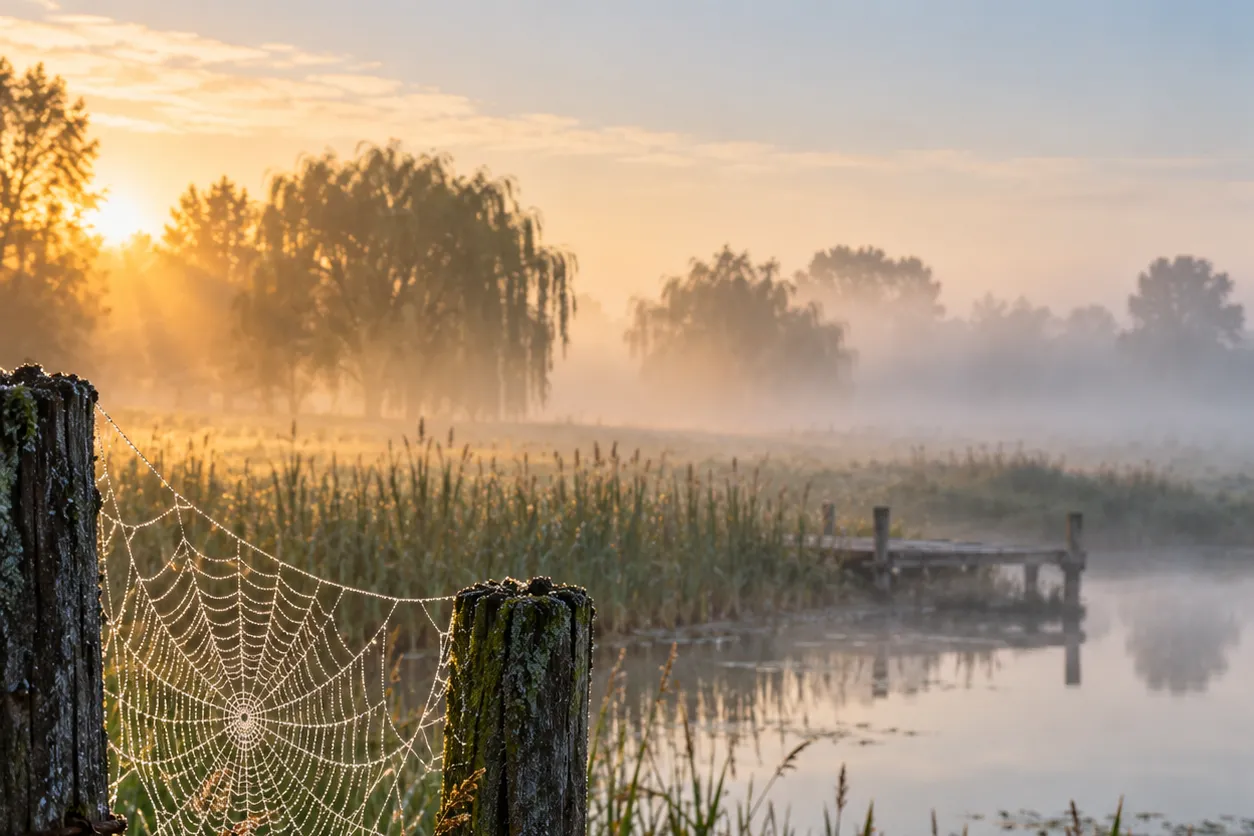 September: nevel boven de vijver