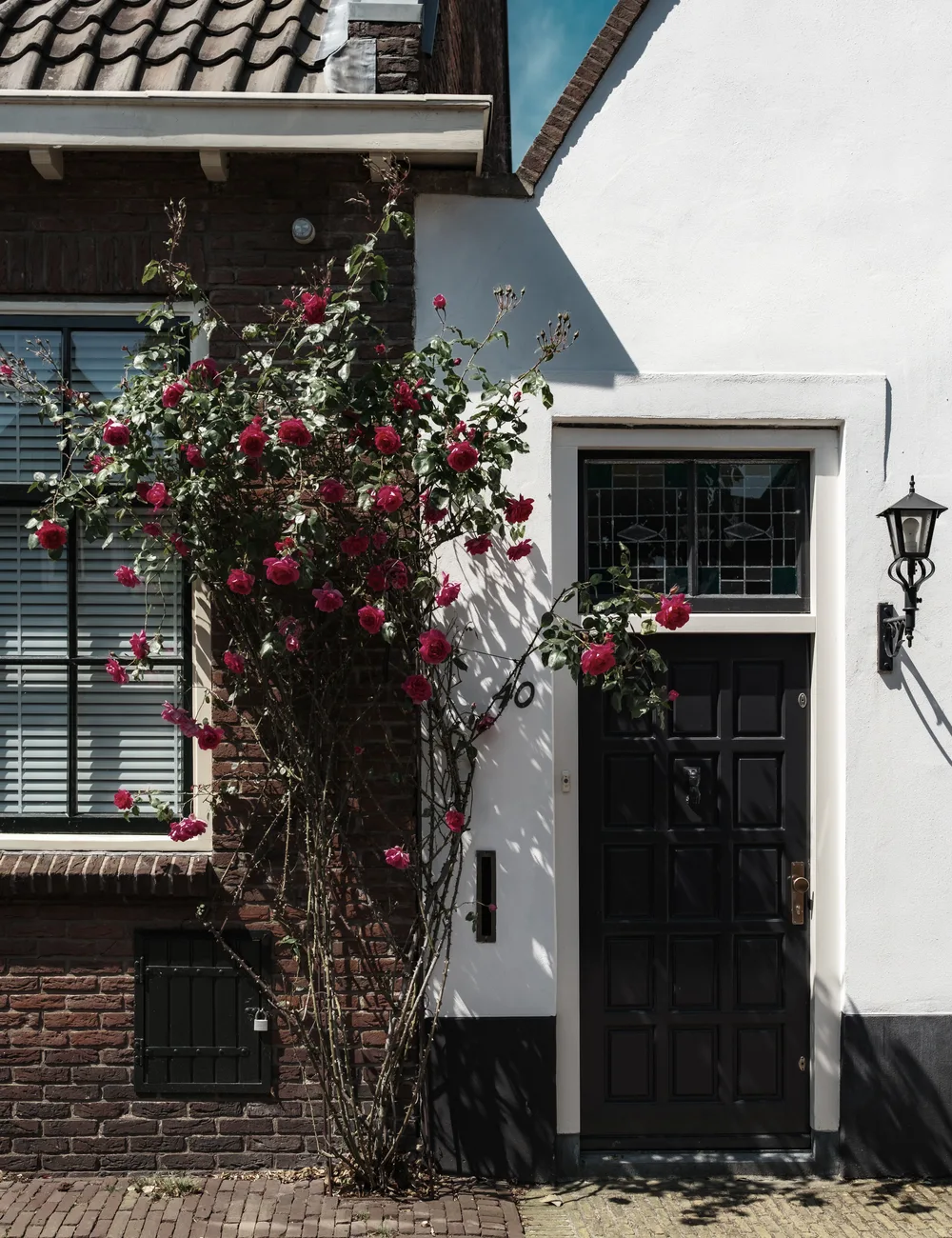 Dorpsstraat met klimroos tegen een wit huis