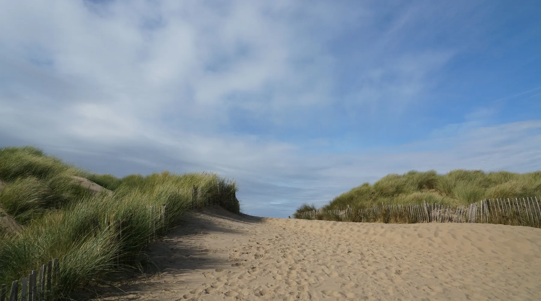 Duinpad tussen helmgras richting het strand