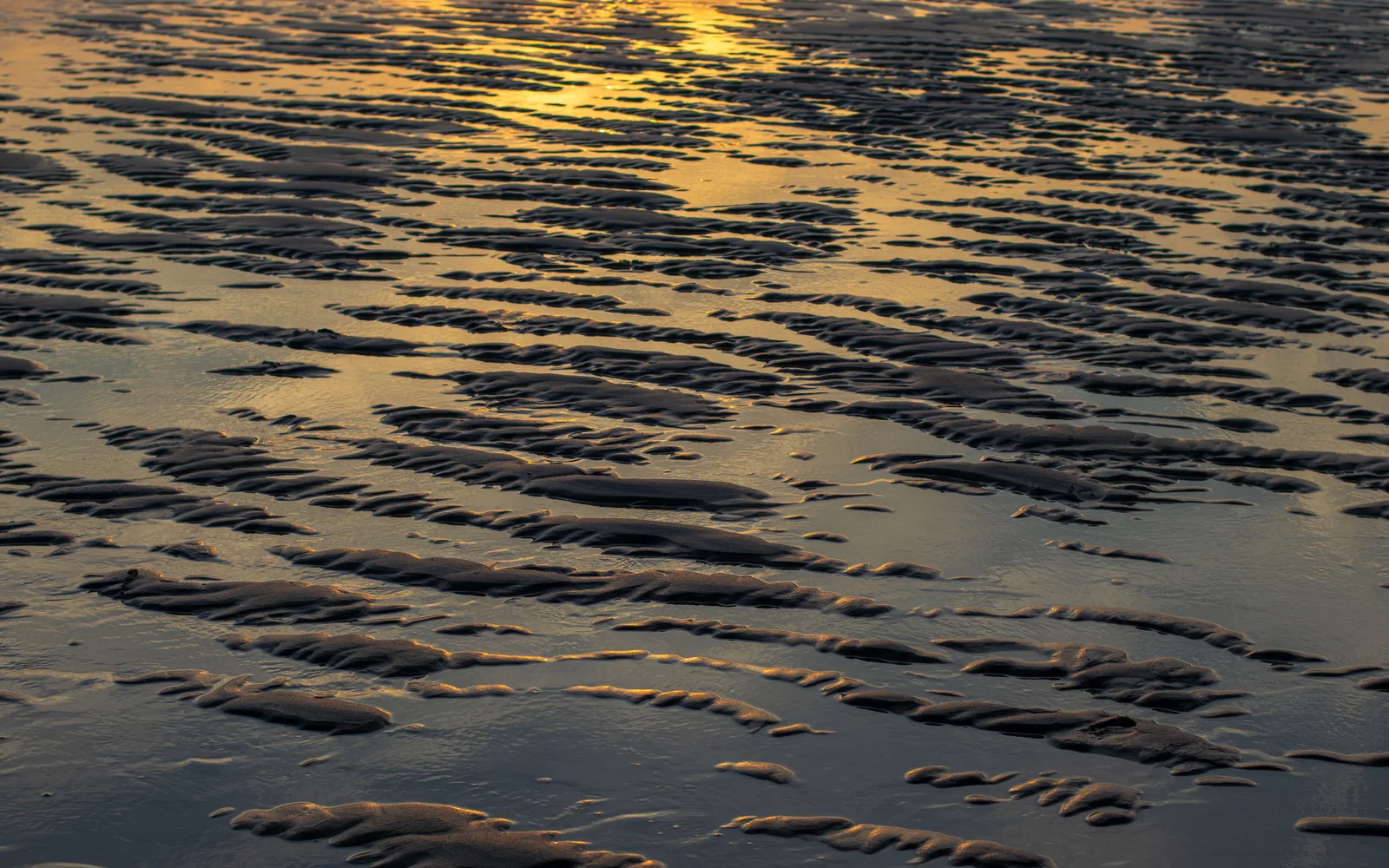 Ribbels in het natte zand bij eb, goud avondlicht