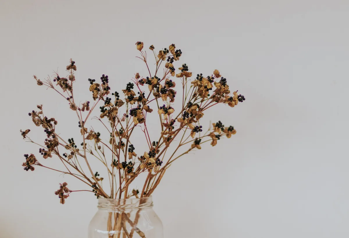 Sfeervol arrangement van neutrale droogbloemen en pampas