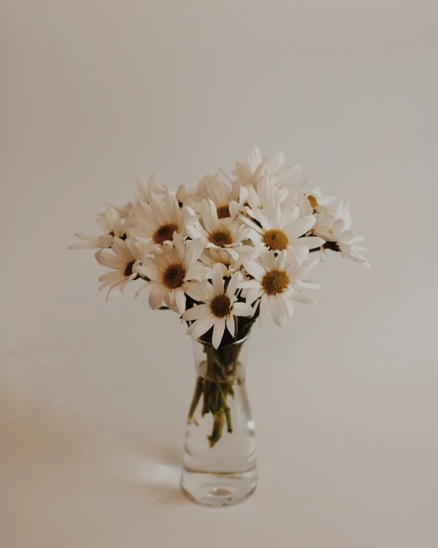 Witte margrieten in een glazen vaas