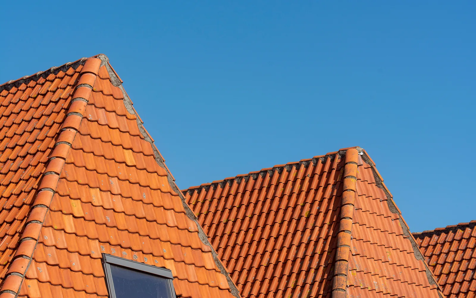 Nieuw pannendak na renovatie, strakke rijen tegen een blauwe lucht