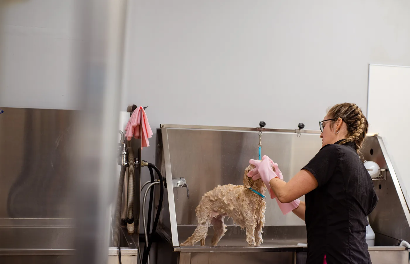 Trimsters aan het werk in de salon