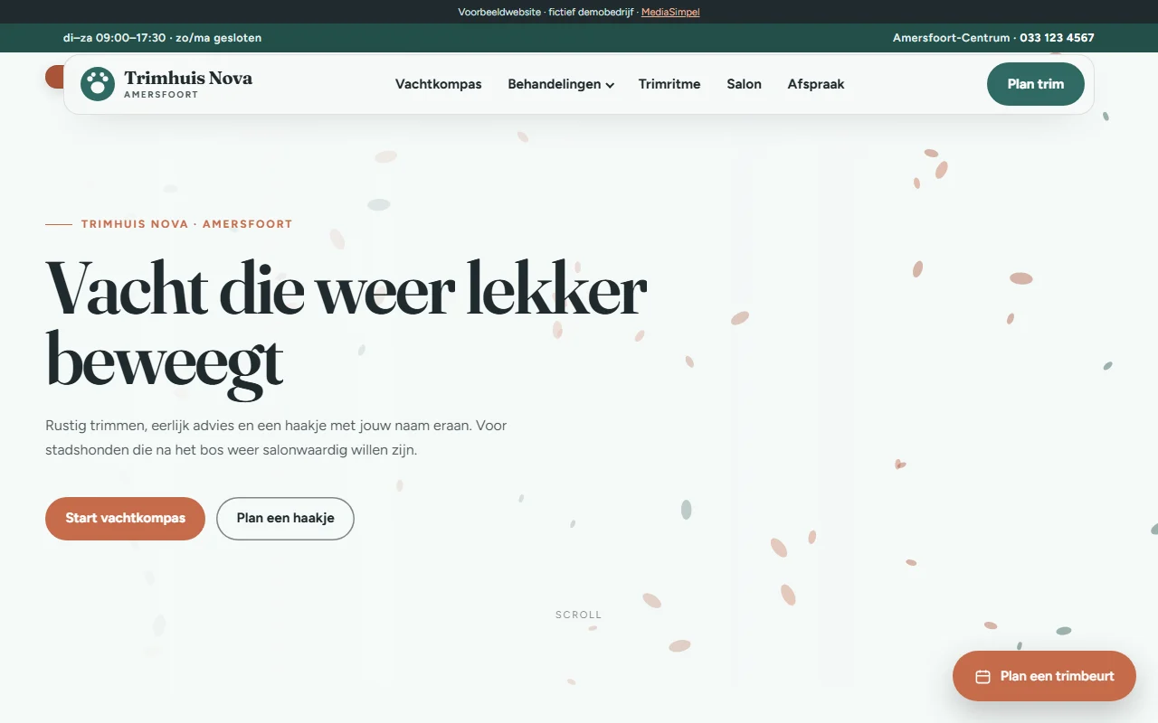 Example website for a dog grooming salon
