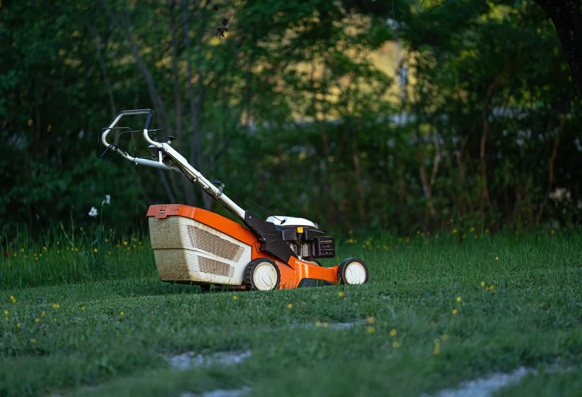 Strak groen gazon met strak afgestoken graskanten