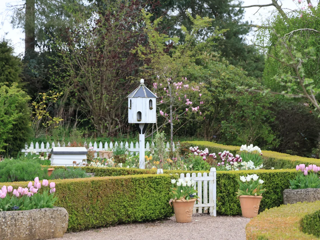 Landelijke tuin met bloeiende tulpen, lage buxushagen en een wit duiventil