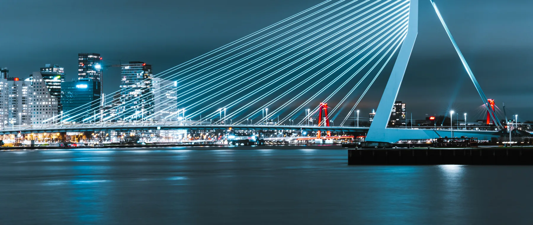 De Erasmusbrug in Rotterdam in de avond