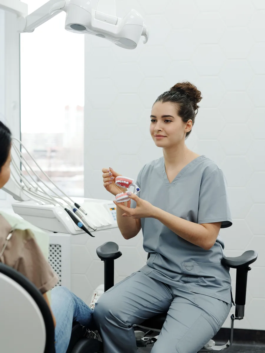 Mondhygiënist geeft uitleg met een gebitsmodel