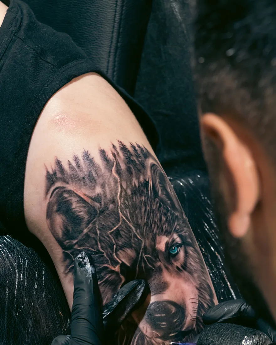 Realistische black-and-grey tattoo van een wolf in aanleg