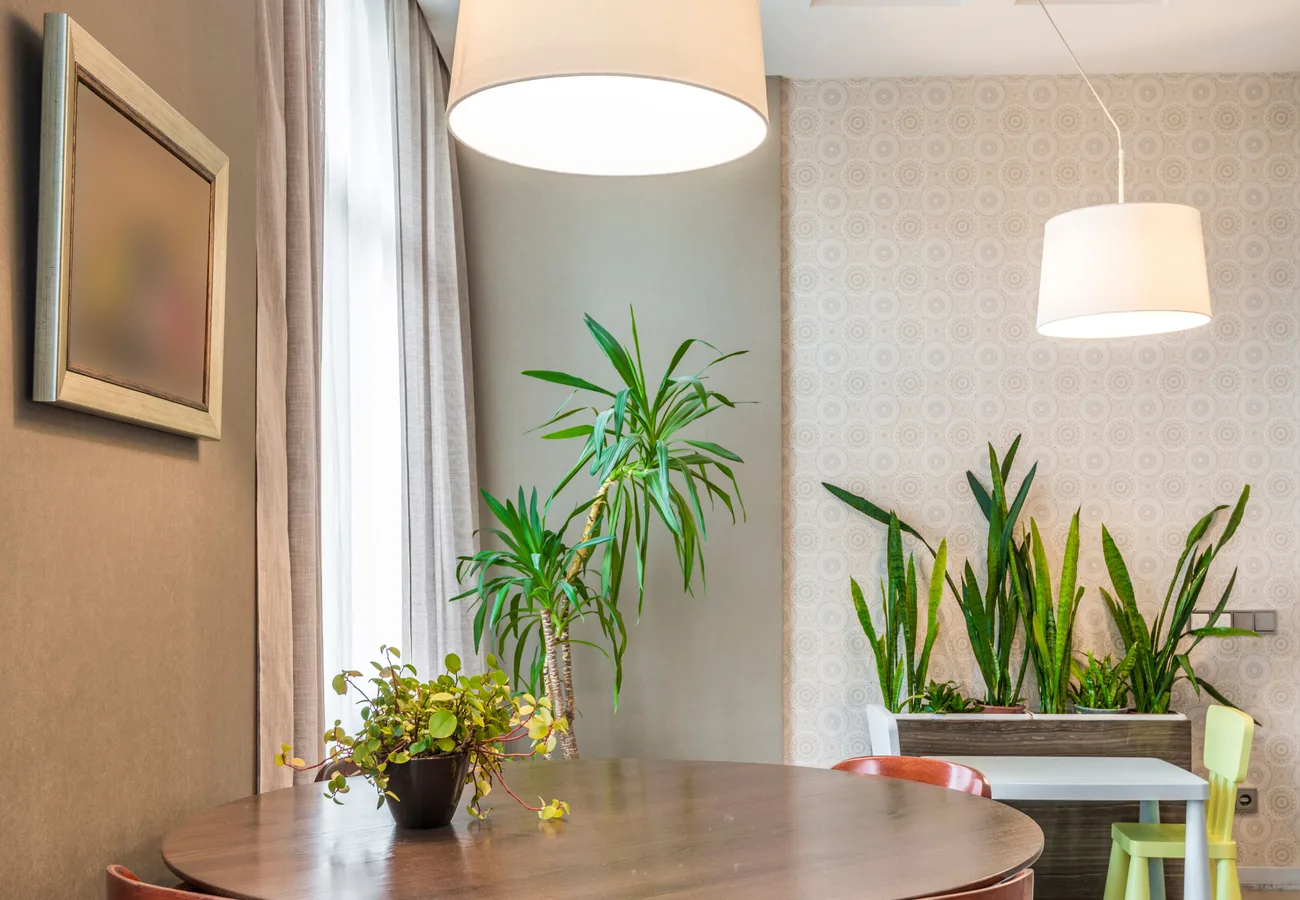 Warme, lichte praktijkruimte met veel planten
